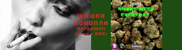 СК Каменногорск
