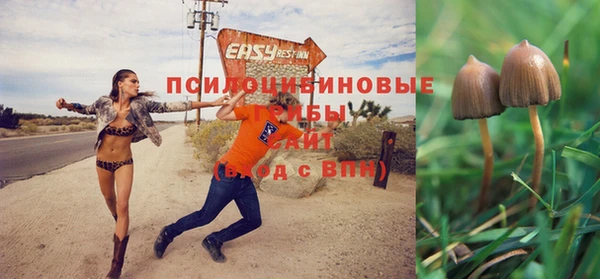 скорость Каменск-Шахтинский