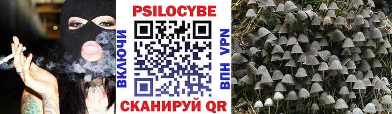 Псилоцибиновые грибы мухоморы  Купить закладки  Ахтубинск 